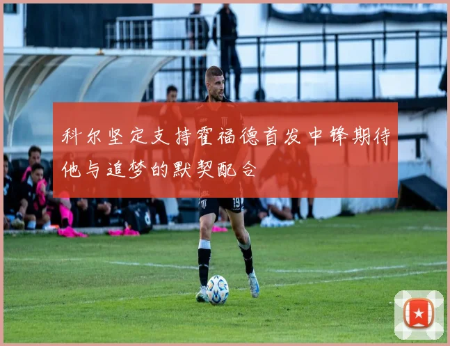 科尔坚定支持霍福德首发中锋期待他与追梦的默契配合